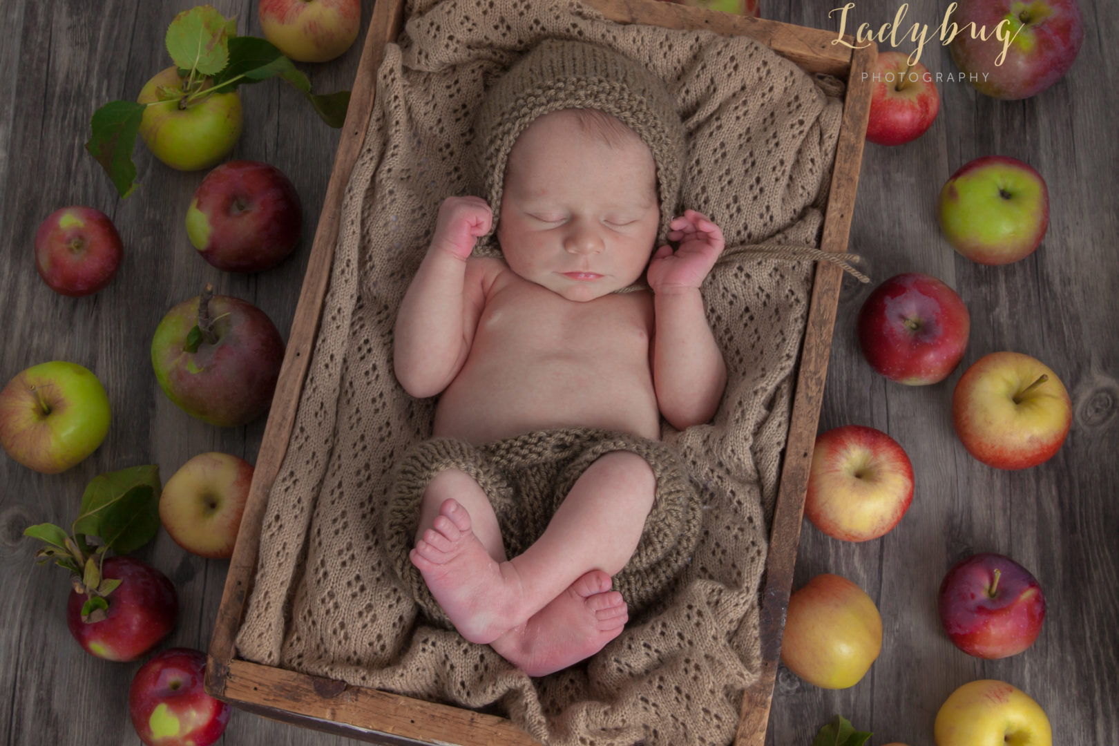 duxbury photographer, kingston photographer, marshfield photographer, hingham photographer, baby, infant , specialized 
